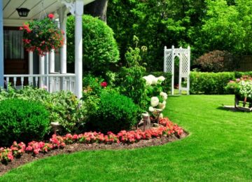 Right Landscaping Design